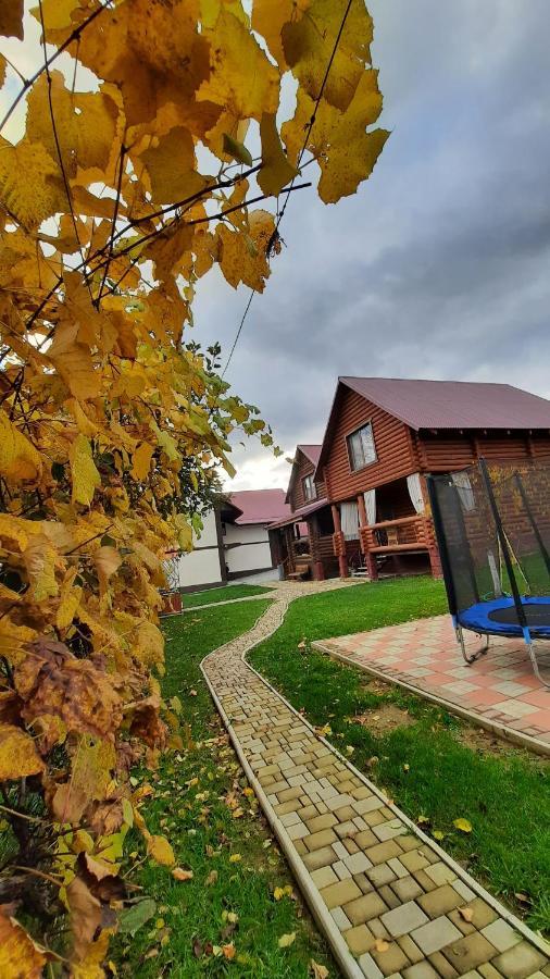 Карпатський краєвид Поляна Екстер'єр фото