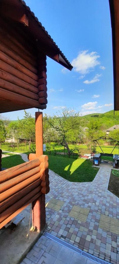 Карпатський краєвид Поляна Екстер'єр фото